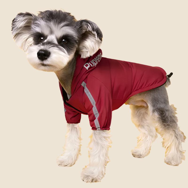 DogFace Rain jacket