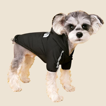 DogFace Rain jacket